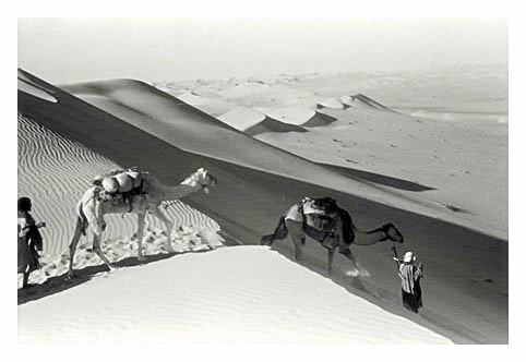 The Empty Quarter of the Arabian Peninsula